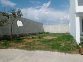  Land for sale in Zapopan, Jalisco, Zapopan, Jalisco