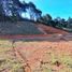  Terreno (Parcela) en venta en La Ceja, Antioquia, La Ceja, Antioquia
