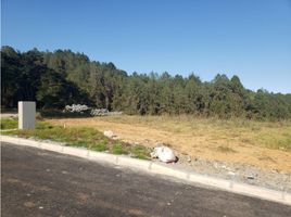  Terreno (Parcela) en venta en La Ceja, Antioquia, La Ceja, Antioquia