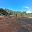  Terreno (Parcela) en venta en La Ceja, Antioquia, La Ceja, Antioquia