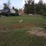  Land for sale in Chui, Rio Grande do Sul, Chui, Chui