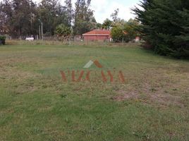  Land for sale in Chui, Rio Grande do Sul, Chui, Chui