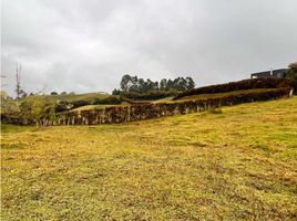  Land for sale in El Carmen De Viboral, Antioquia, El Carmen De Viboral