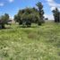  Land for sale in Calpan, Puebla, Calpan
