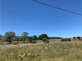  Terrain for sale in Balcarce, Buenos Aires, Balcarce