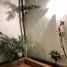 Villa 3 chambre à louer à Zapopan, Jalisco, Zapopan