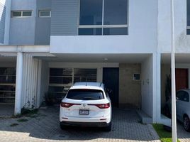 Villa 3 chambre à louer à Zapopan, Jalisco, Zapopan