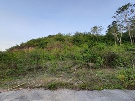  Grundstück zu verkaufen in Liloan, Central Visayas, Liloan