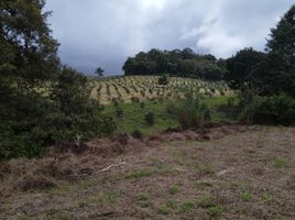  Terreno (Parcela) en venta en Yotoco, Valle Del Cauca, Yotoco