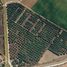  Terreno (Parcela) en venta en Compostela, Nayarit, Compostela