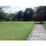  Land for sale in Dzidzantun, Yucatan, Dzidzantun