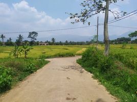  Land for sale in Husein Sastranegara International Airport, Andir, Sumurbandung