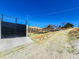 Terrain à vendre à Zapopan, Jalisco, Zapopan, Jalisco
