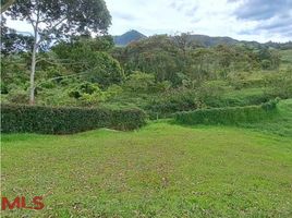  Land for sale in El Carmen De Viboral, Antioquia, El Carmen De Viboral