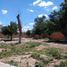  Terreno (Parcela) en venta en Nadadores, Coahuila, Nadadores