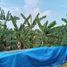  Terreno (Parcela) en venta en Serpong, Banten, Serpong