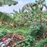  Terreno (Parcela) en venta en Serpong, Banten, Serpong