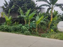  Terreno (Parcela) en venta en Cibinong, West Jawa, Cibinong, Bogor, West Jawa