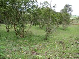  Land for sale in Marinilla, Antioquia, Marinilla