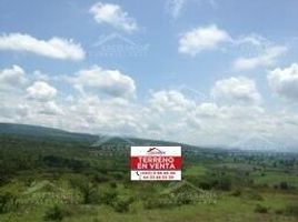  Land for sale in Tarimbaro, Michoacan, Tarimbaro