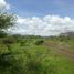  Land for sale in Tarimbaro, Michoacan, Tarimbaro