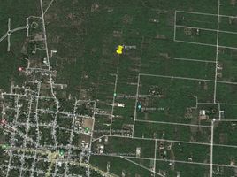  Terreno (Parcela) en venta en Conkal, Yucatán, Conkal, Yucatán