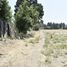  Land for sale in Tamuin, San Luis Potosi, Tamuin