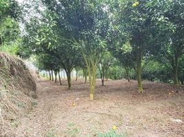  Land for sale in Batu, Malang Regency, Batu