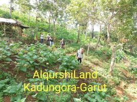  Tanah for sale in Garut, West Jawa, Karangpawitan, Garut