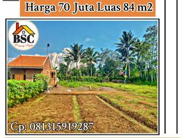  Land for sale in Kepanjen, Malang Regency, Kepanjen