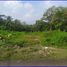  Land for sale in Nganjuk, East Jawa, Tanjunganom, Nganjuk