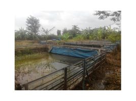  Tanah for sale in Setu, West Jawa, Setu