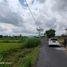  Land for sale in Yogyakarta, Sleman, Sleman, Yogyakarta