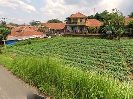  Tanah for sale in Bogor, West Jawa, Ciampea, Bogor