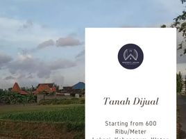  Terreno (Parcela) en venta en Kebonarum, Jawa Tengah, Kebonarum, Klaten, Jawa Tengah