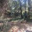  Land for sale in Chile, San Jode De Maipo, Cordillera, Santiago, Chile