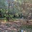  Land for sale in Chile, San Jode De Maipo, Cordillera, Santiago, Chile