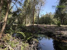 Land for sale in Chile, Puerto Varas, Llanquihue, Los Lagos, Chile