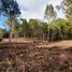  Land for sale in Chile, Puerto Varas, Llanquihue, Los Lagos, Chile