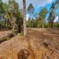  Land for sale in Chile, Puerto Varas, Llanquihue, Los Lagos, Chile