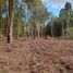  Land for sale in Chile, Puerto Varas, Llanquihue, Los Lagos, Chile