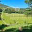  Land for sale in Chile, Villarrica, Cautin, Araucania, Chile