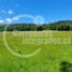  Land for sale in Chile, Villarrica, Cautin, Araucania, Chile