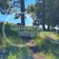  Land for sale in Chile, Villarrica, Cautin, Araucania, Chile