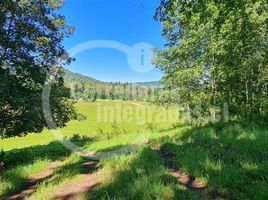  Land for sale in Chile, Villarrica, Cautin, Araucania, Chile