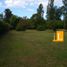  Land for sale in Brandsen, Buenos Aires, Brandsen