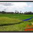  Land for sale in Tampak Siring, Gianyar, Tampak Siring