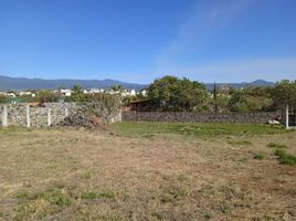  Grundstück zu verkaufen in Tlayacapan, Morelos, Tlayacapan