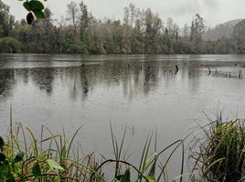  Terreno (Parcela) en venta en Chile, Mariquina, Valdivia, Los Ríos, Chile