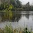  Terreno (Parcela) en venta en Chile, Mariquina, Valdivia, Los Ríos, Chile